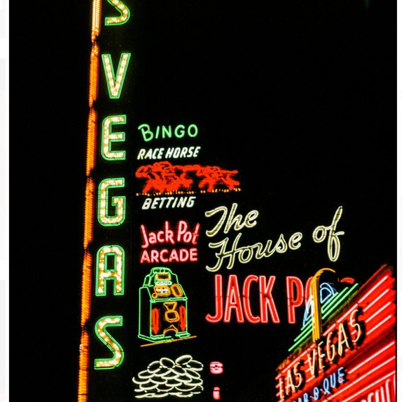 Untamed Nights Collection