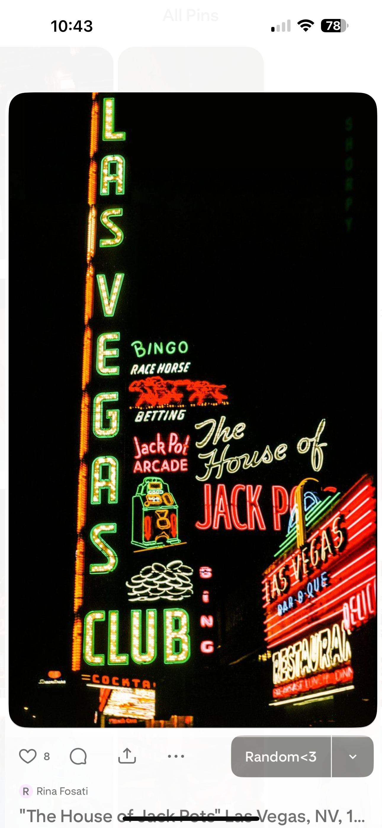 Untamed Nights Collection