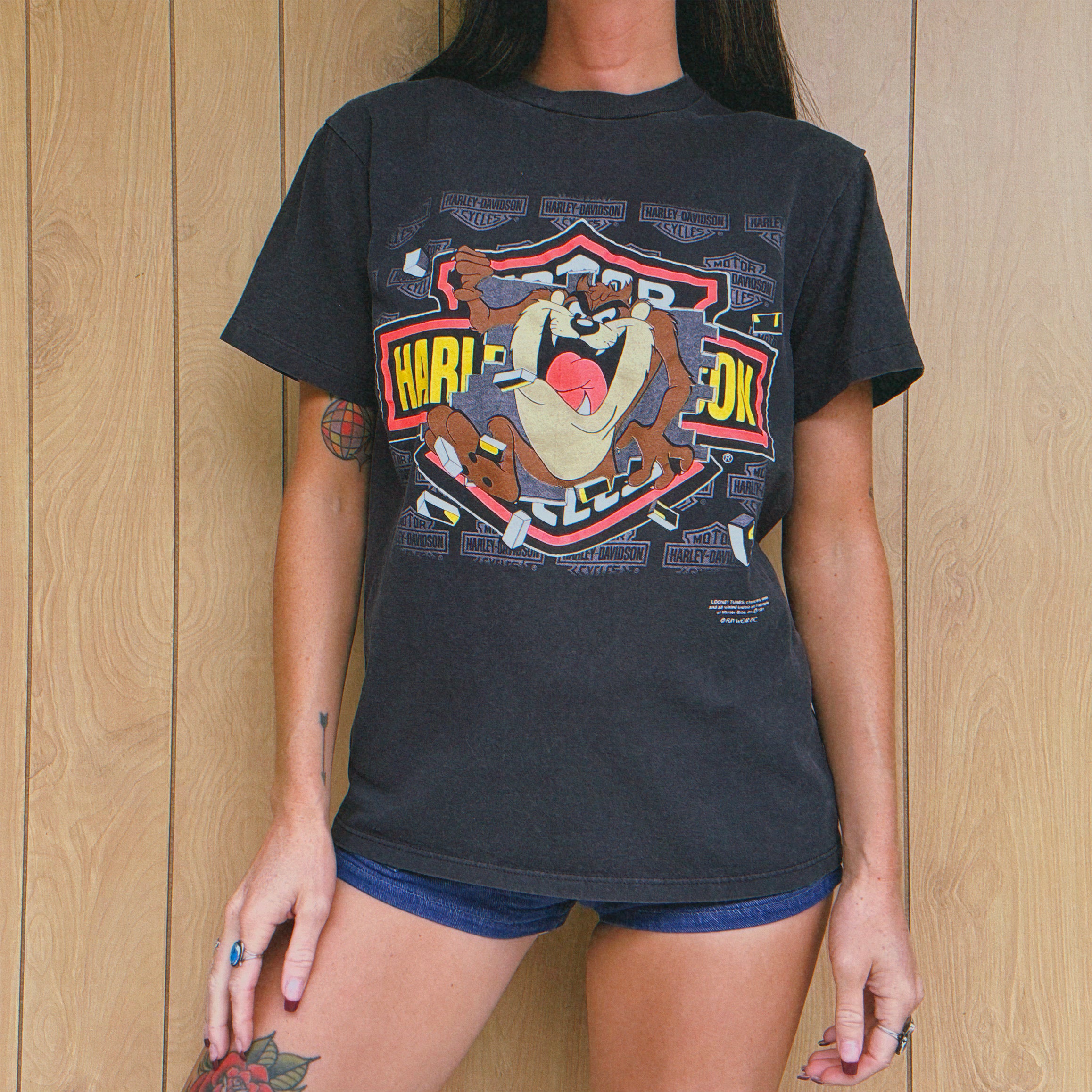 Vintage 90s Harley Davidson Taz Tee