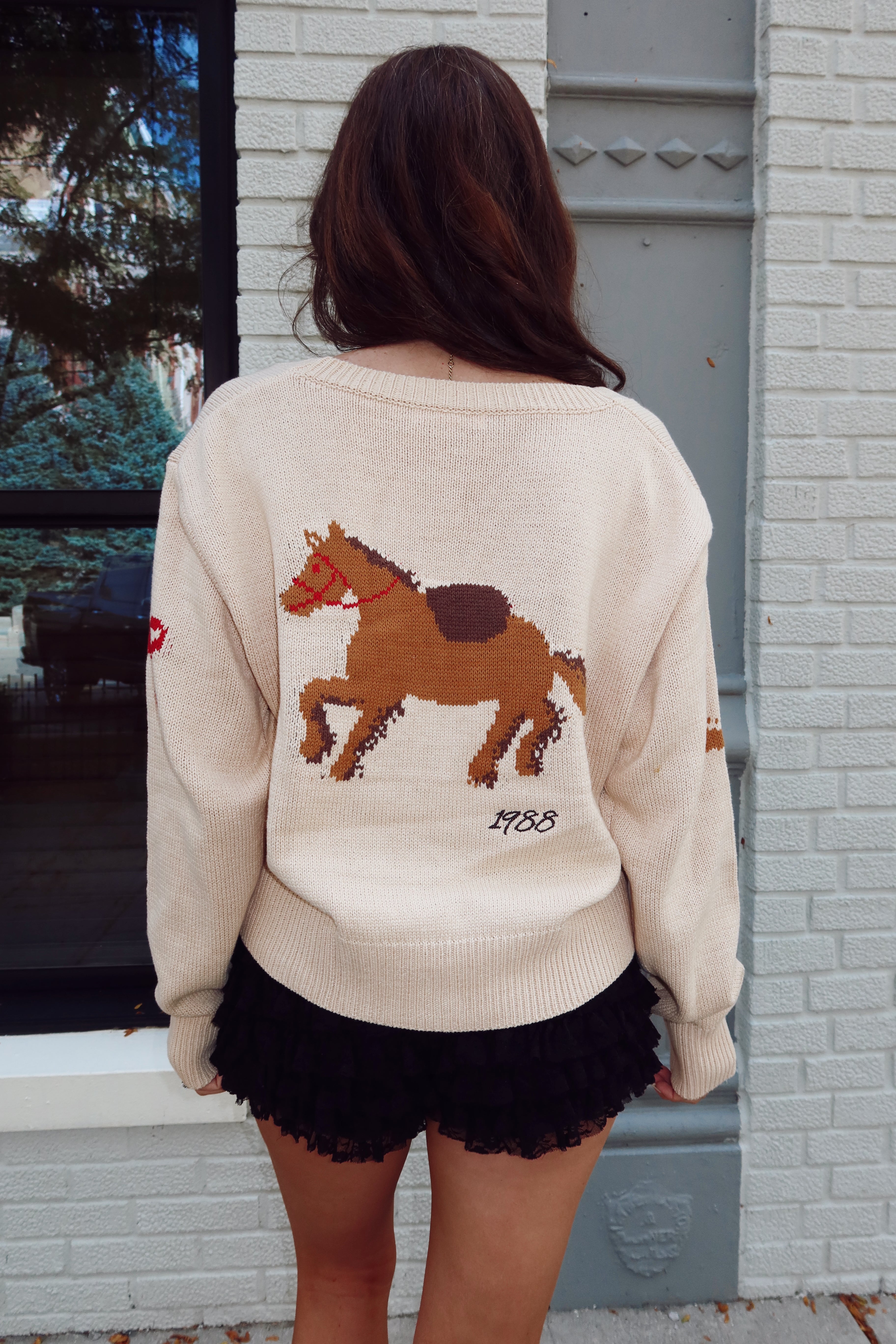 Lucky Baby Horse Sweater