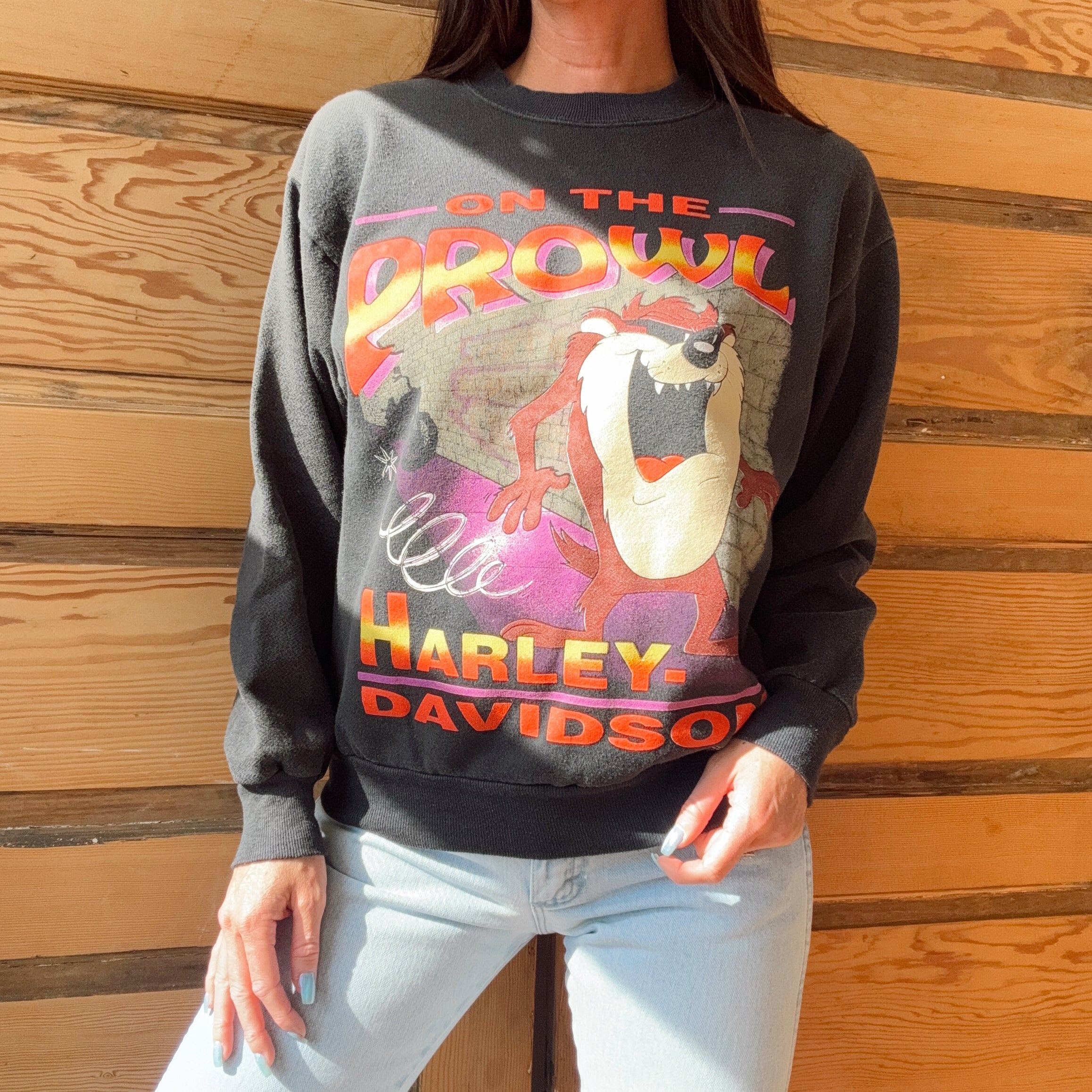 Vintage 90s Harley Davidson Taz Crewneck