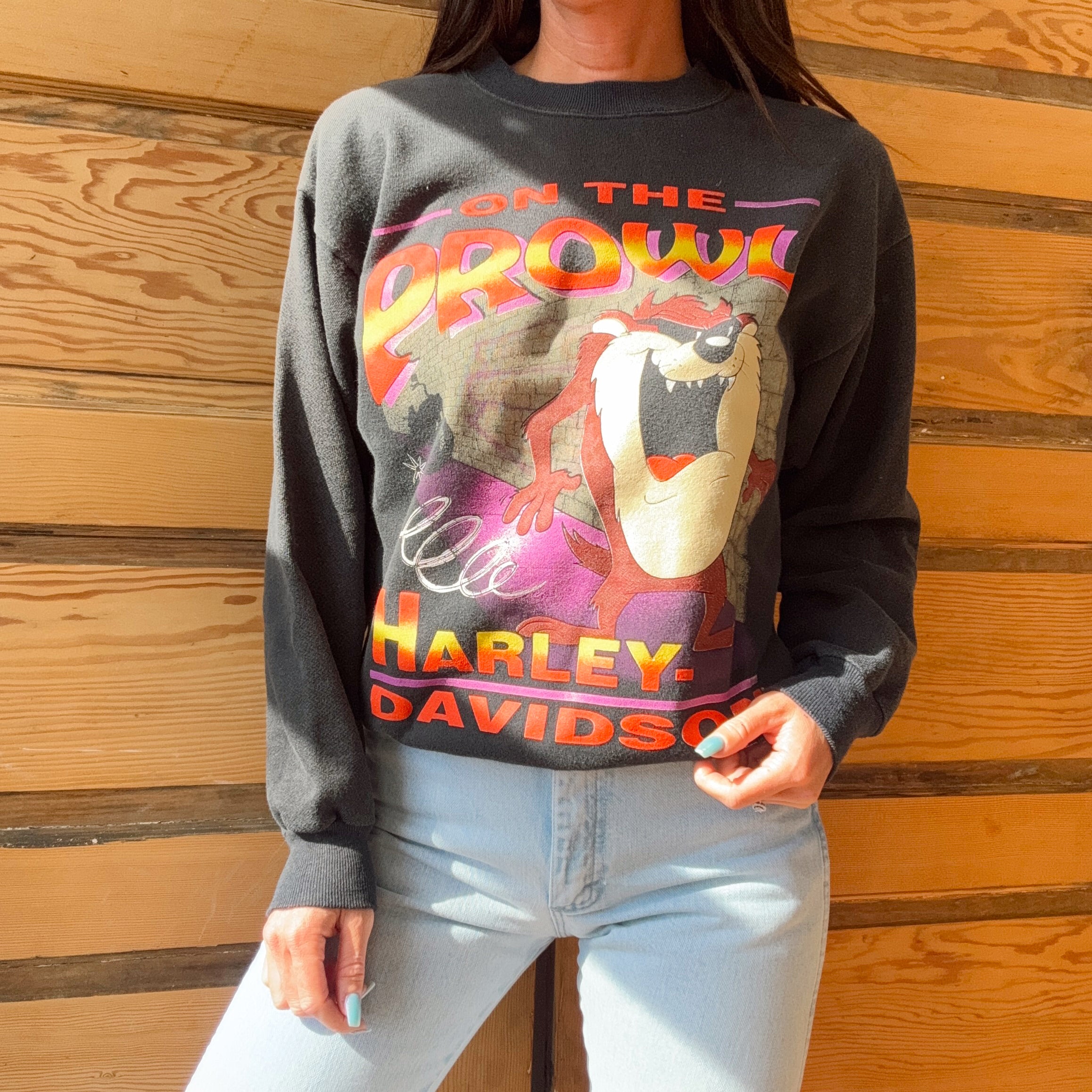 Vintage 90s Harley Davidson Taz Crewneck