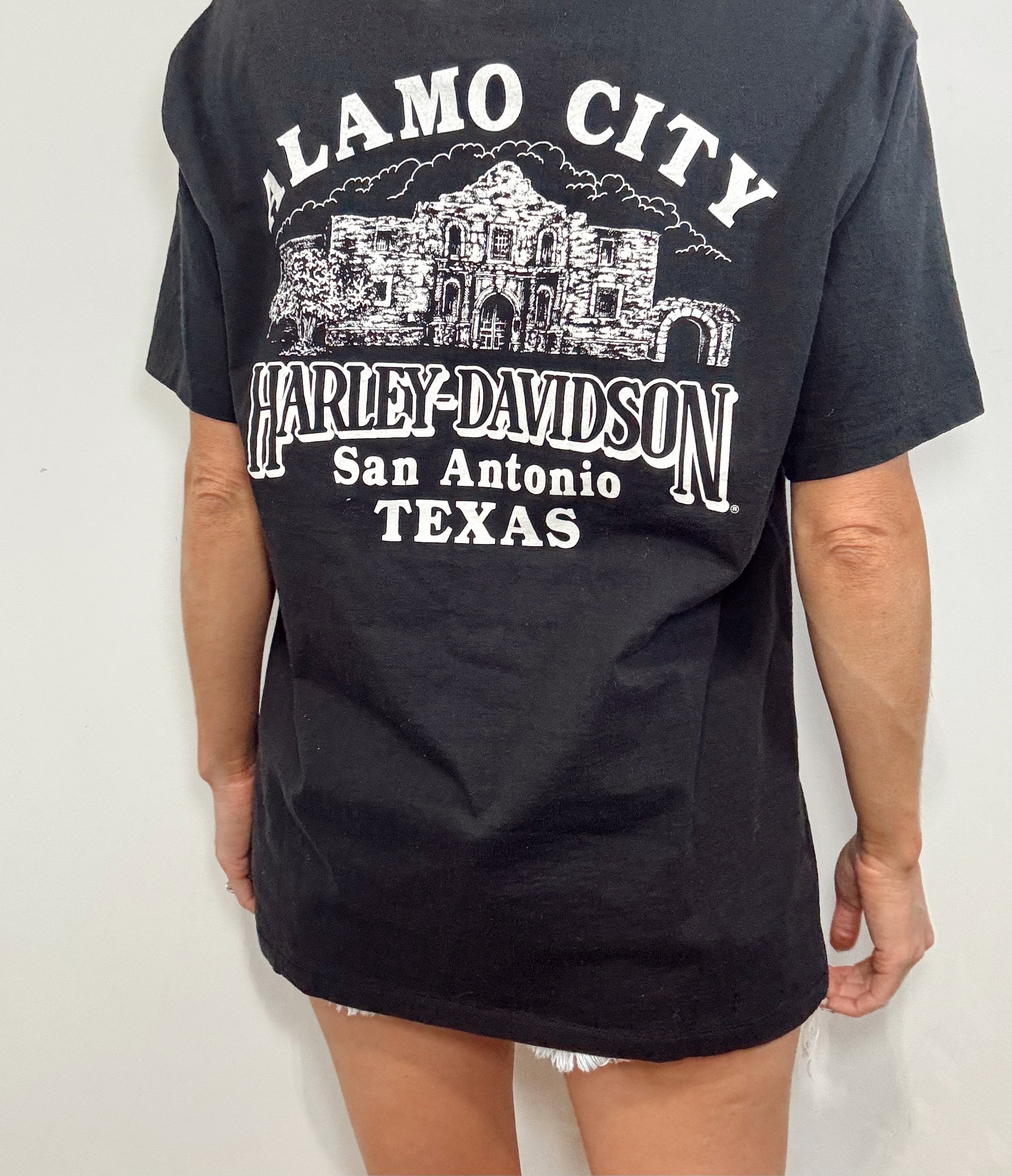 Vintage Harley Davidson Holographic Wing Tee