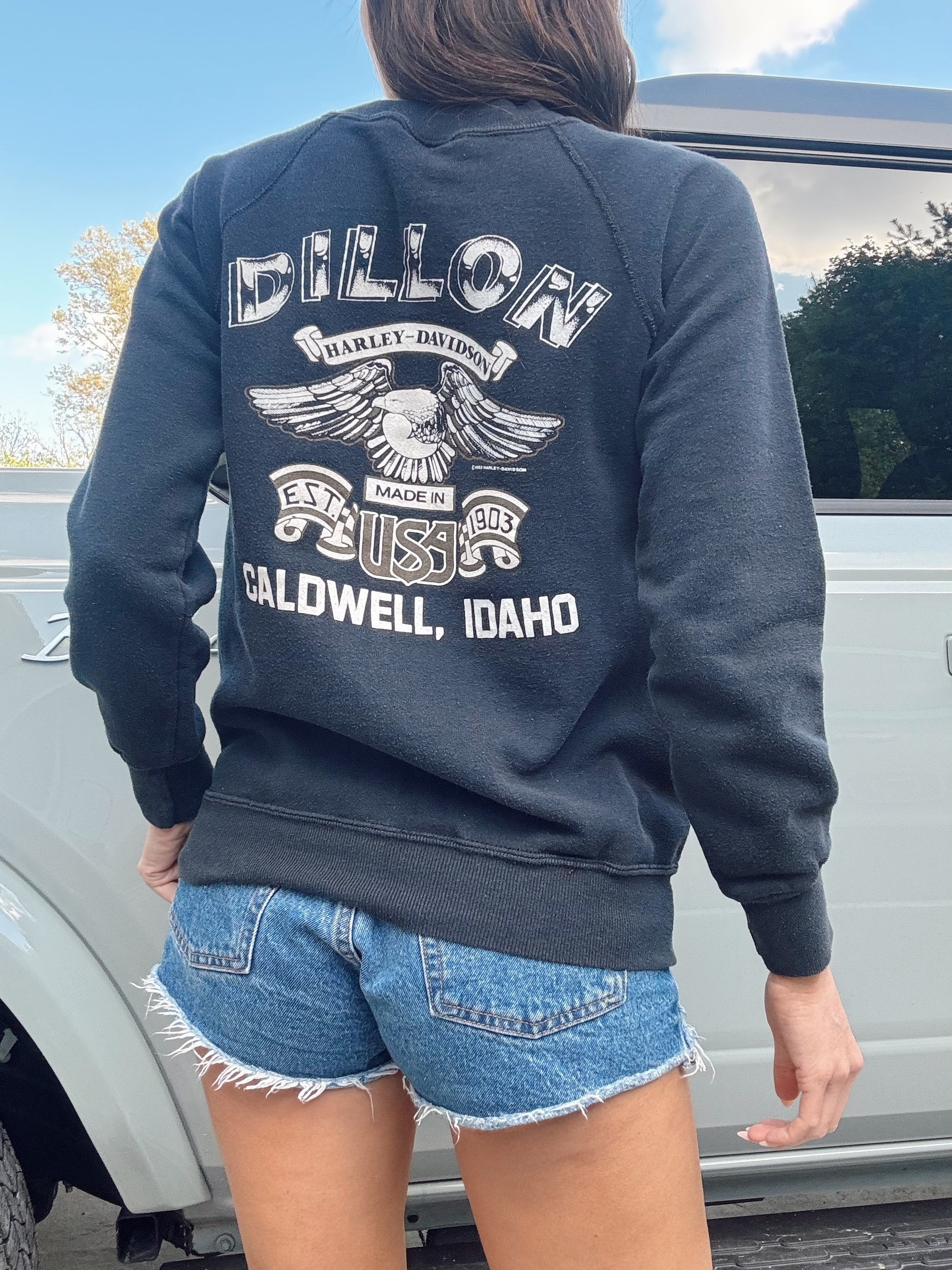 Vintage 80s Harley Davidson The Eagle Has Landed Dragon Sweatshirt