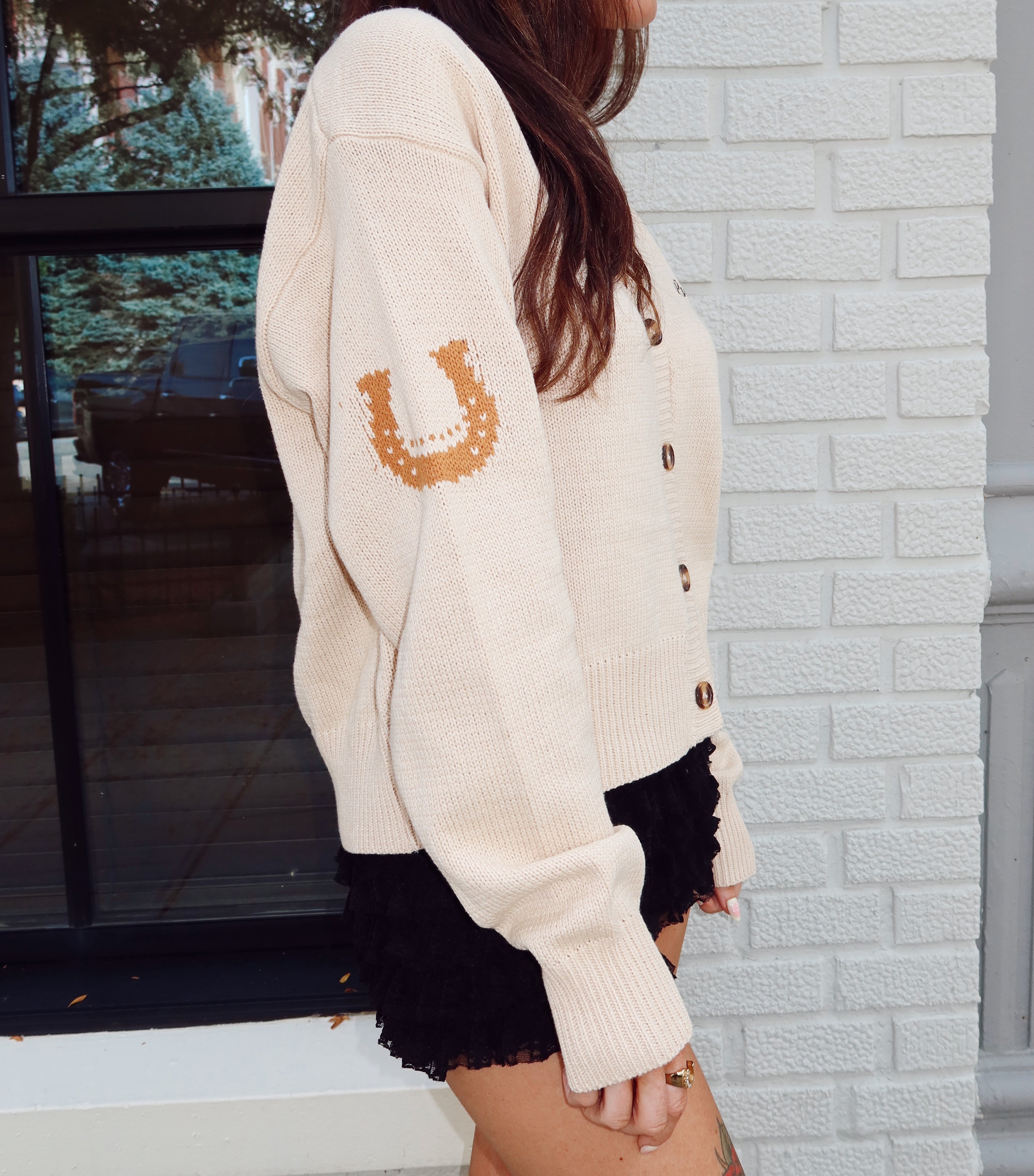 Lucky Baby Horse Sweater