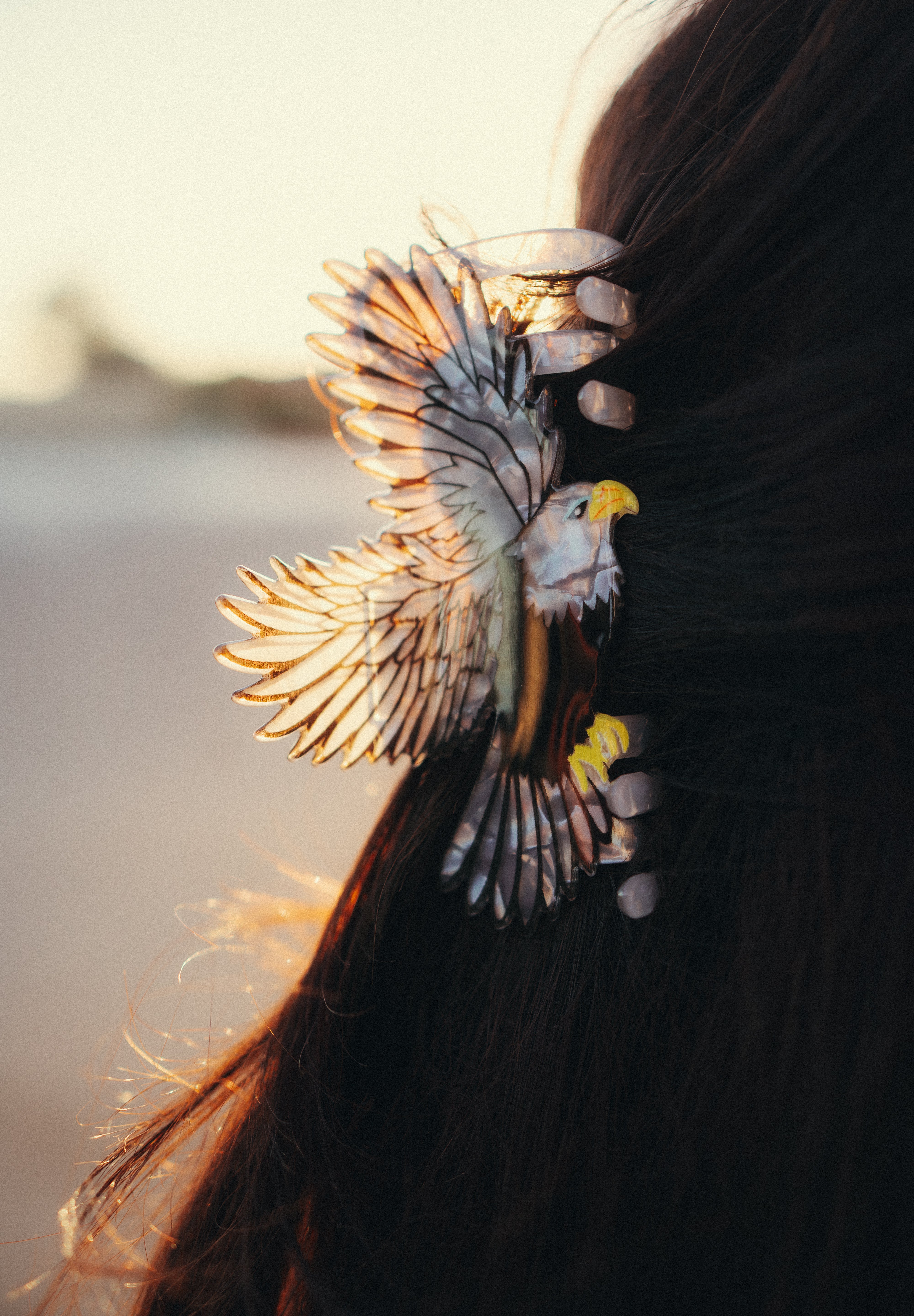 Born Free Eagle Claw Hair Clip