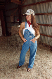 Back Porch Blues Denim Overalls