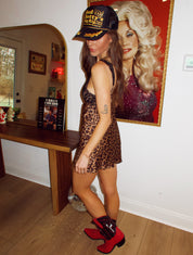 Leopard & Lace Mini Dress