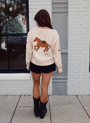 Lucky Baby Horse Sweater
