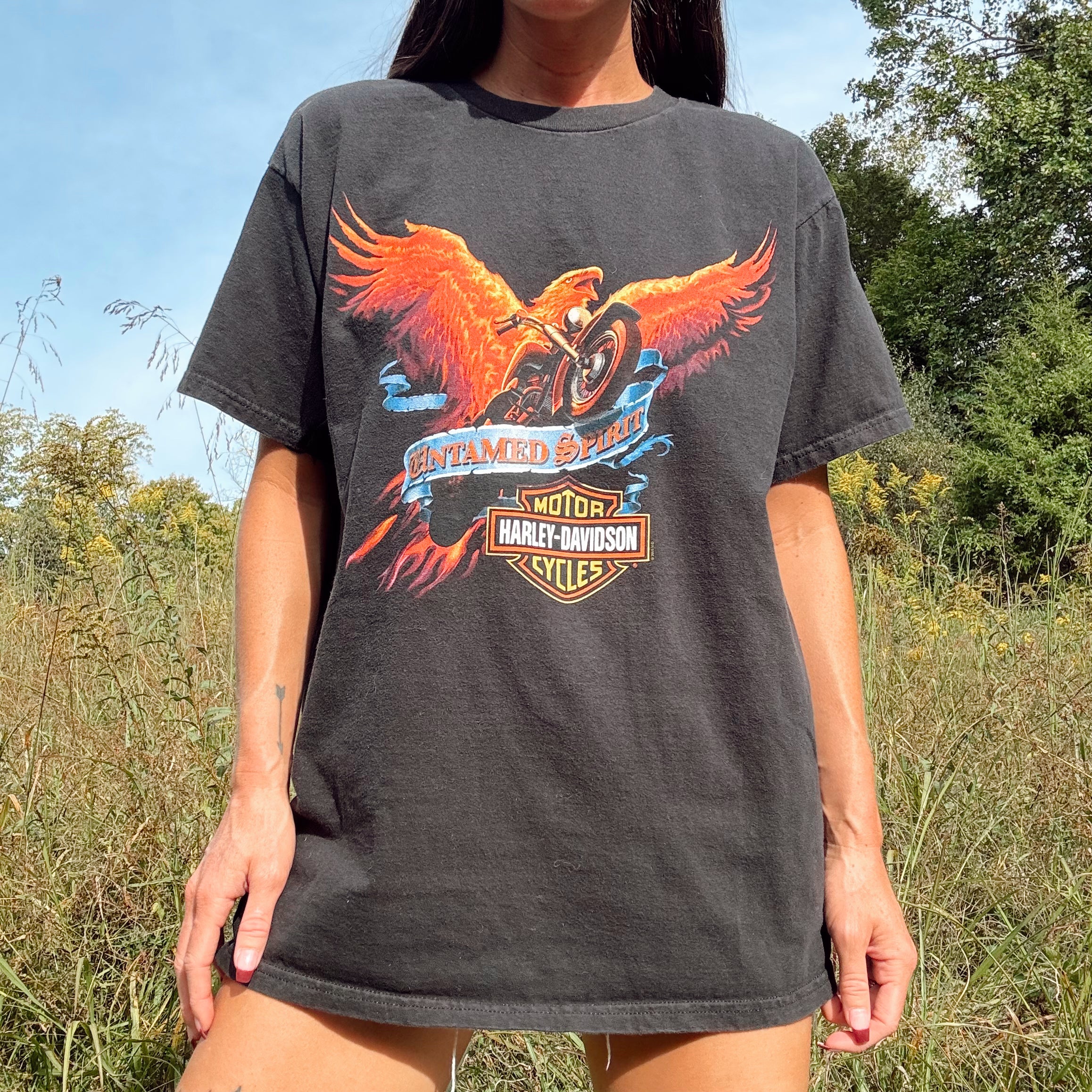 Vintage Harley Davidson Untamed Spirit Eagle Tee