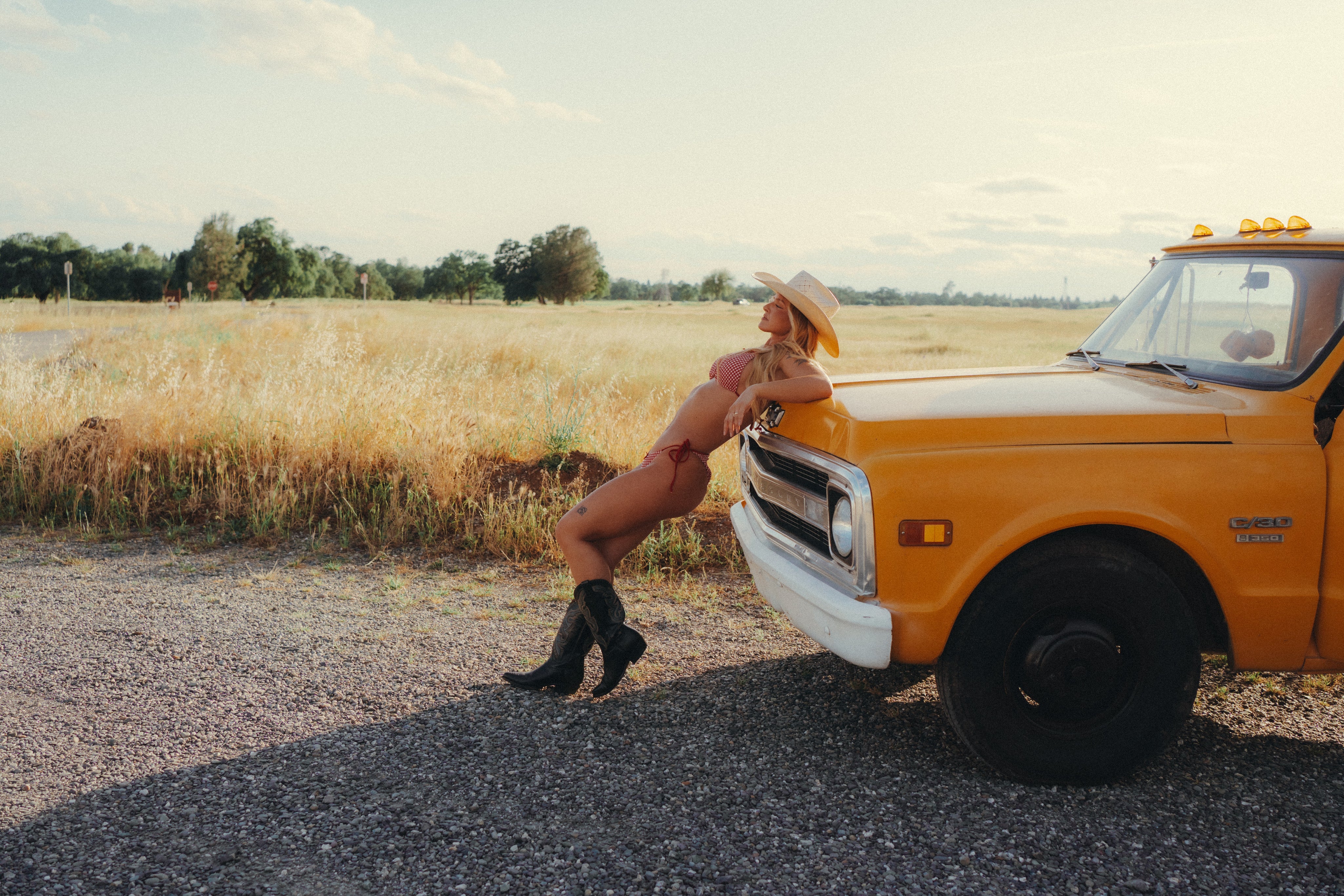 Cherry Pie Gingham Bikini