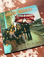 Free Bird Aviators